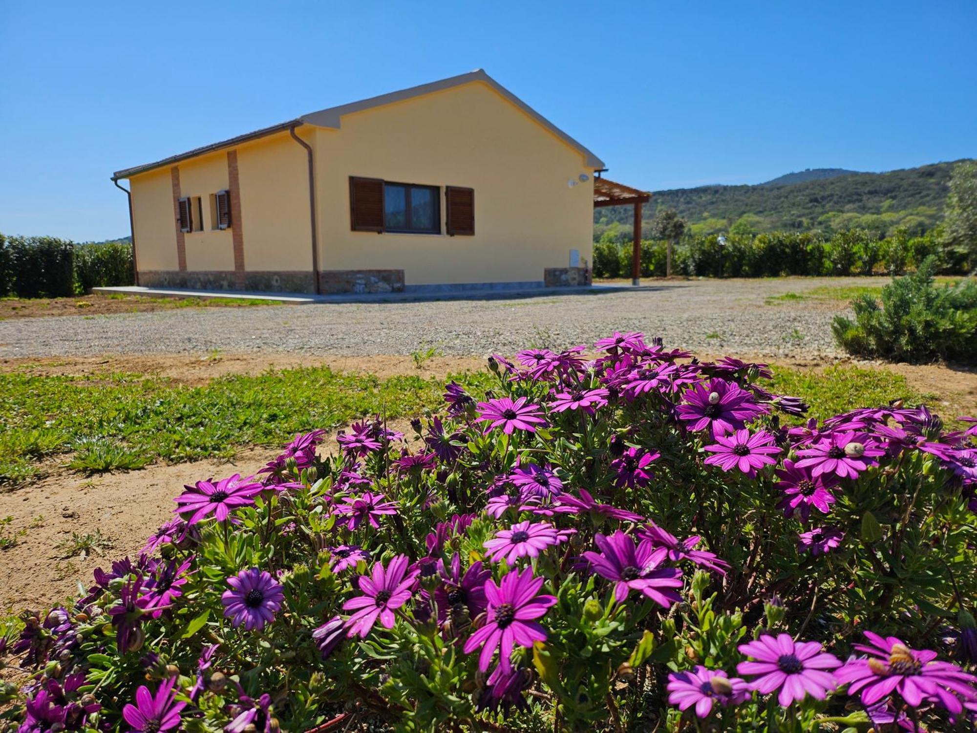 Agriturismo Fusini Magliano in Toscana Exterior photo